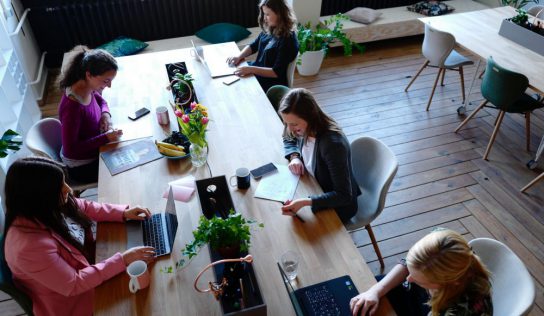 What is a Line of Business?